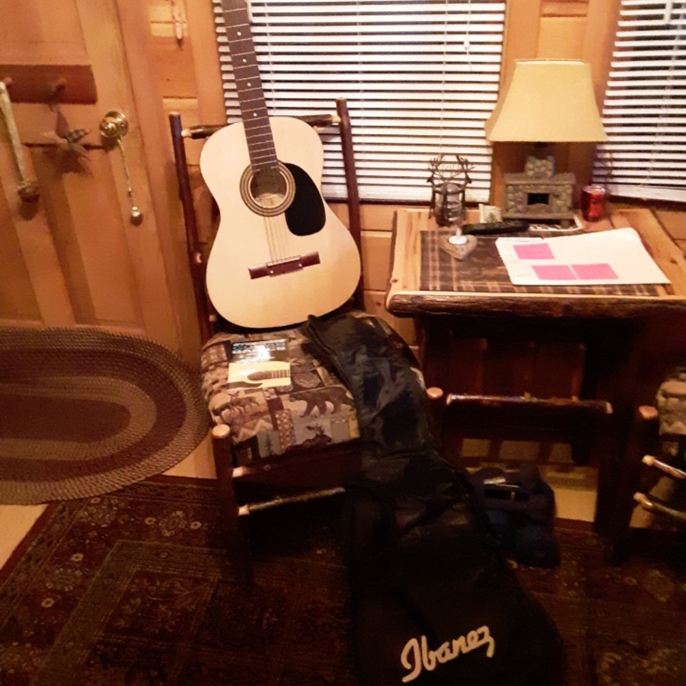 Guitar